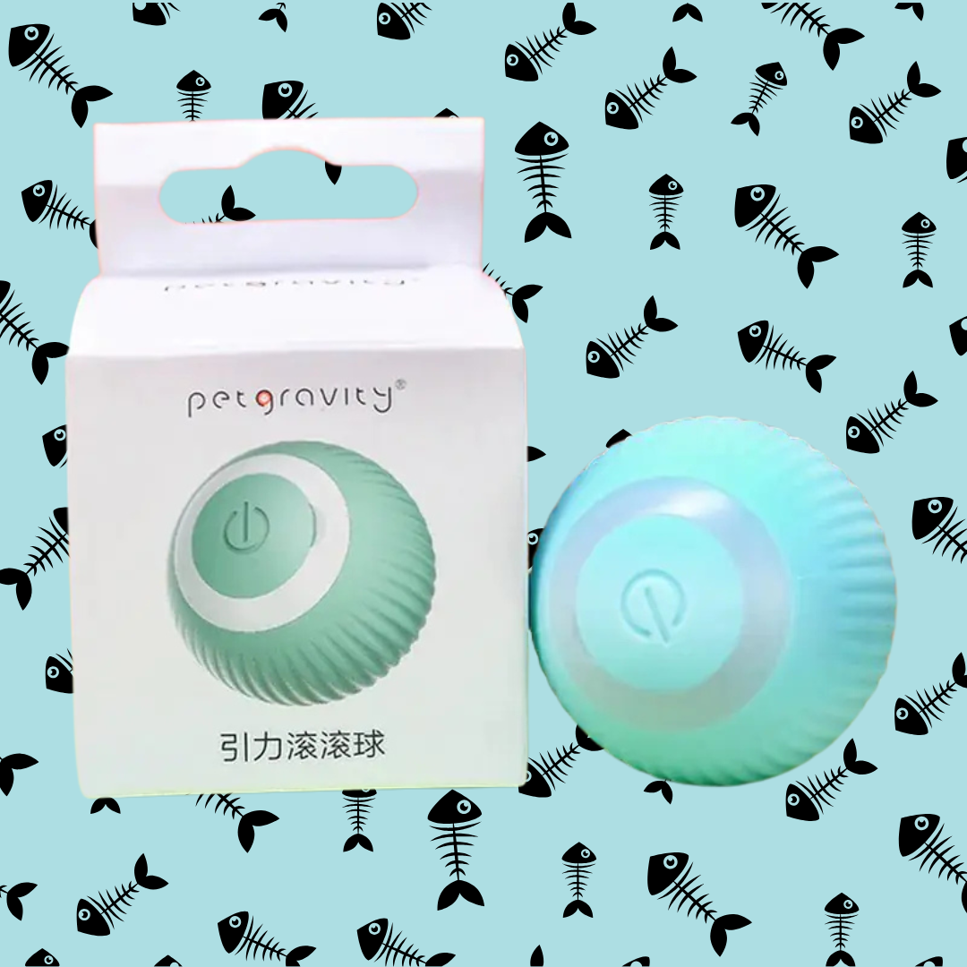 Zoom Ball - Rolling Ball