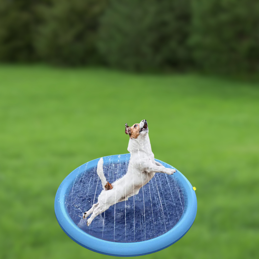 Splash Zone - Dog Sprinkler Pad