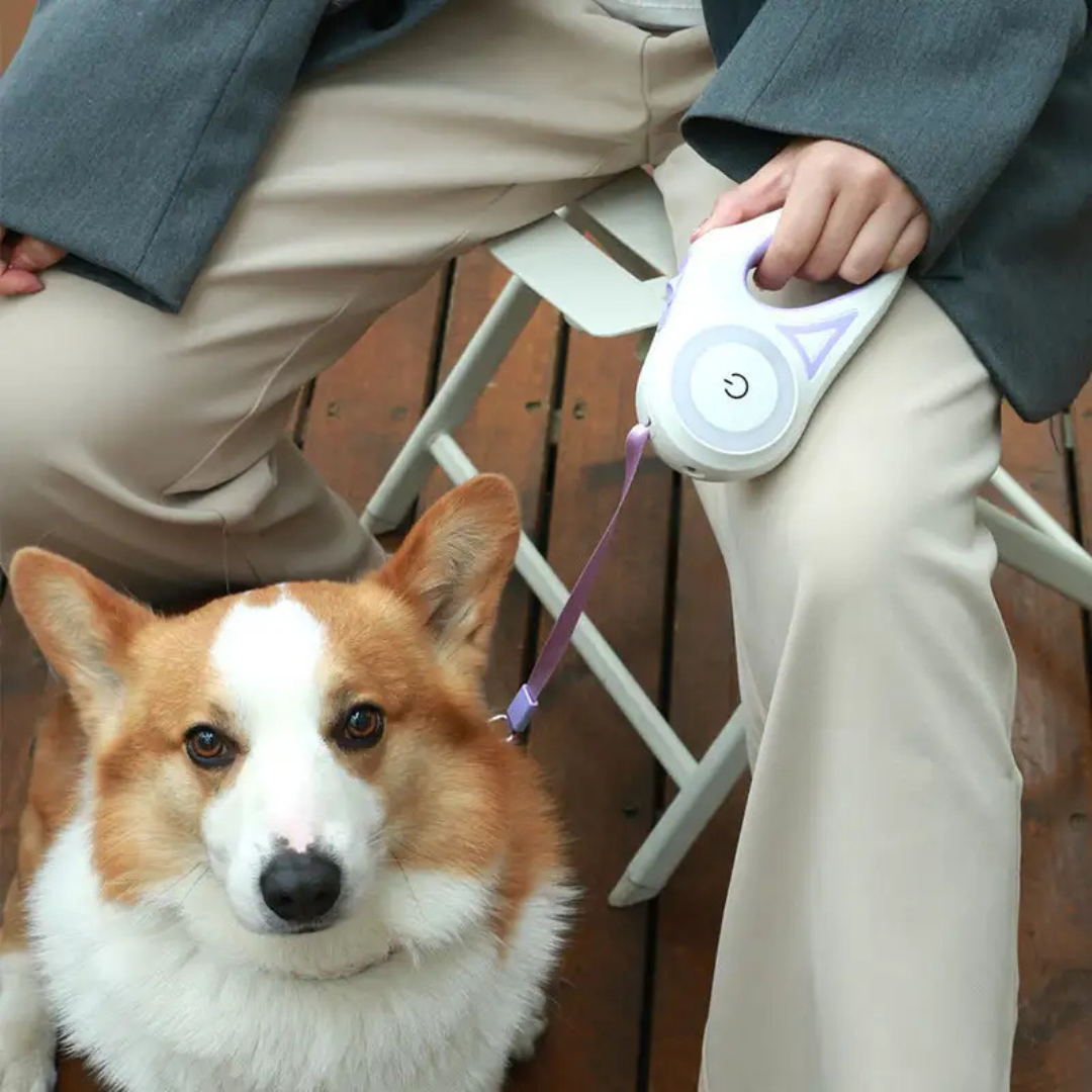 LumiLeash - Led Lights Dog Leash