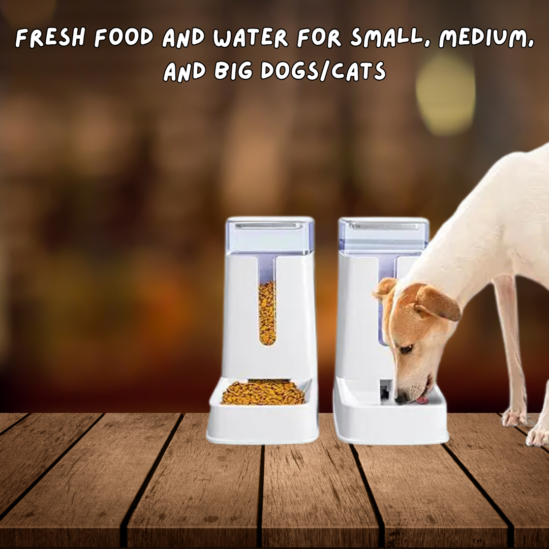 Smart Bowl Duo - Automatic Cat Feeder