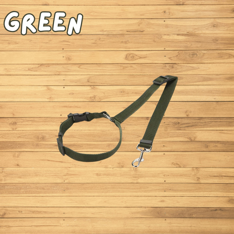 Safe Tails - Dog Security Leash