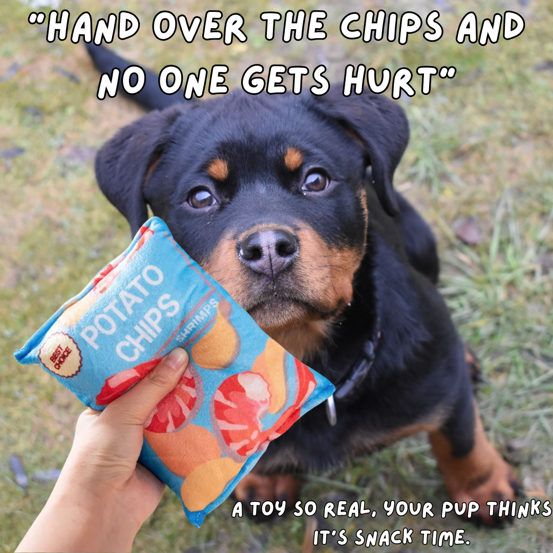 Snack Attack - Plush Potato Chips