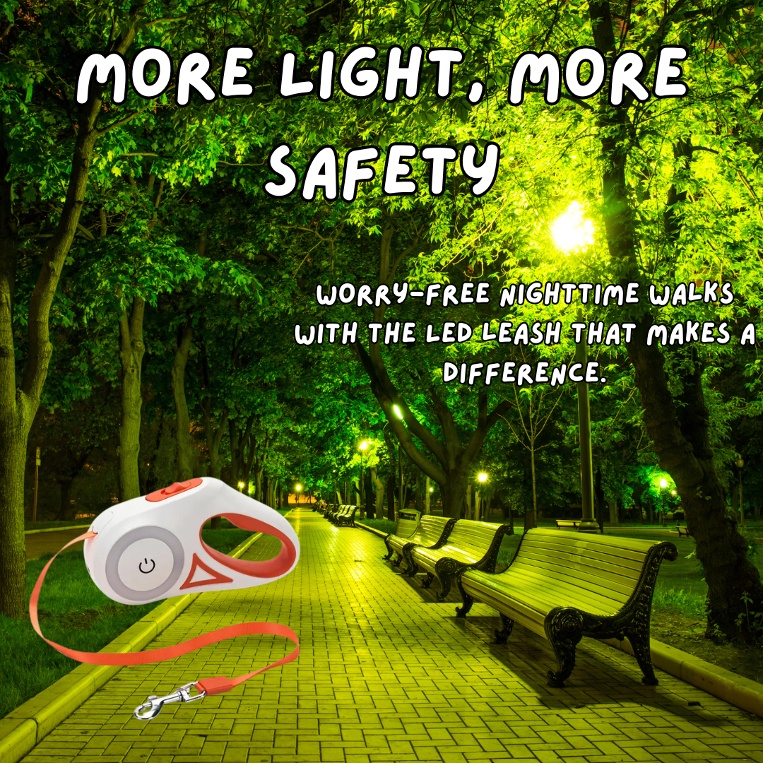 LumiLeash - Led Lights Dog Leash