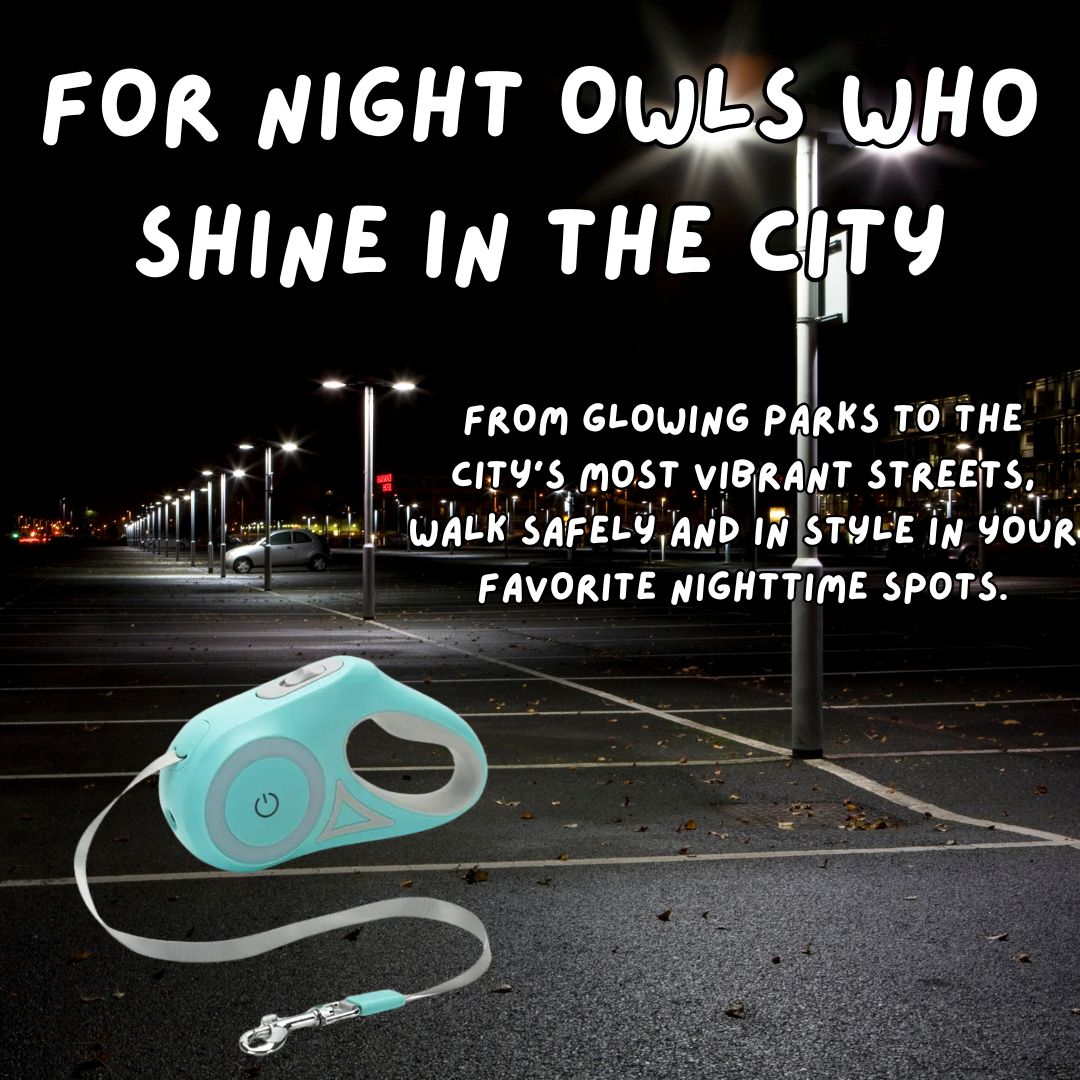 LumiLeash - Led Lights Dog Leash