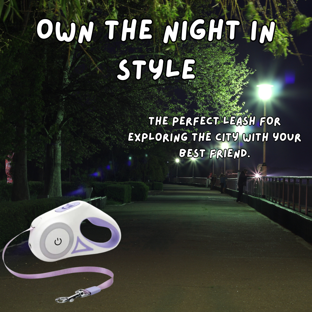 LumiLeash - Led Lights Dog Leash