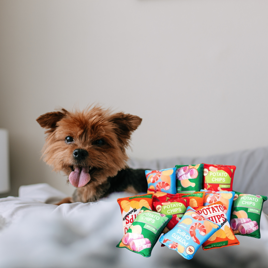 Snack Attack - Plush Potato Chips