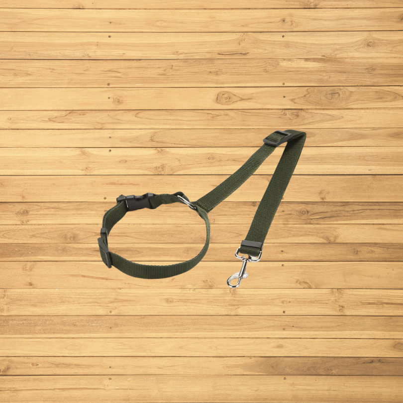 Safe Tails - Dog Security Leash