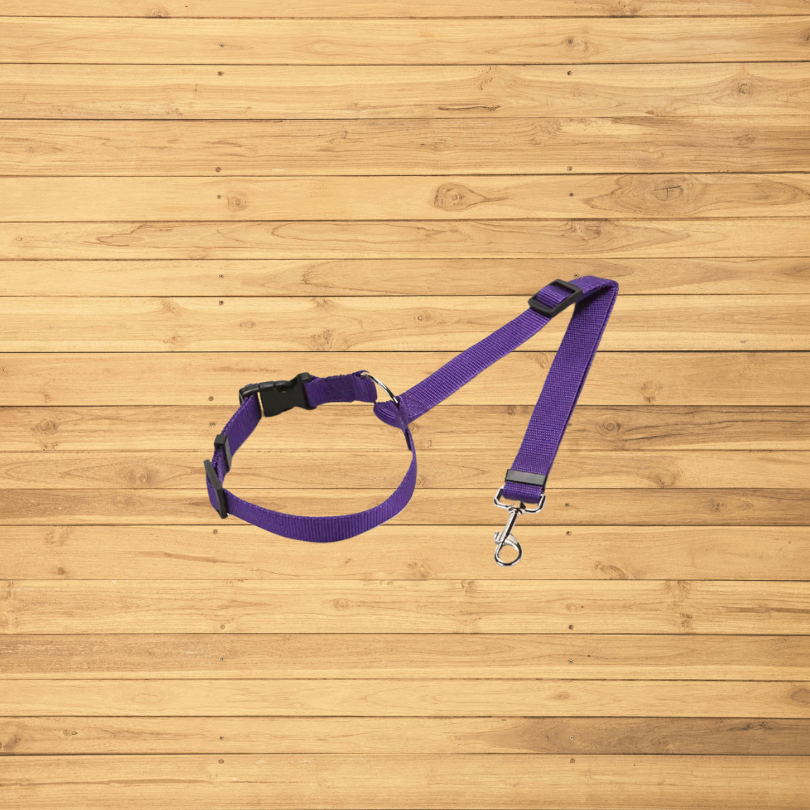 Safe Tails - Dog Security Leash