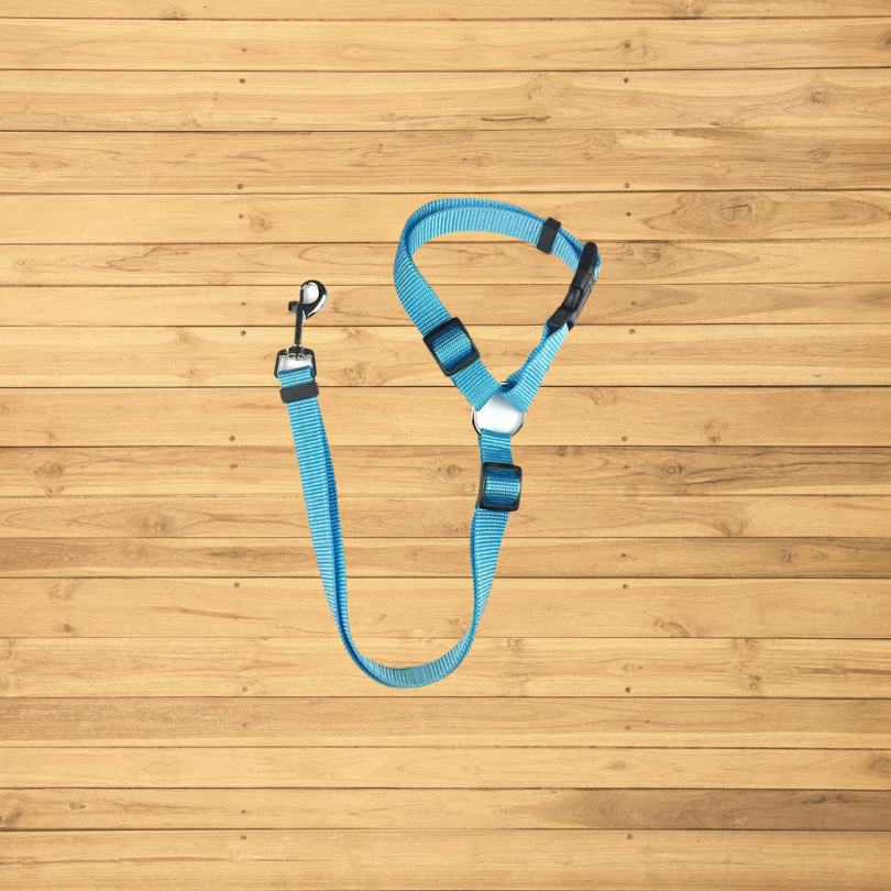 Safe Tails - Dog Security Leash