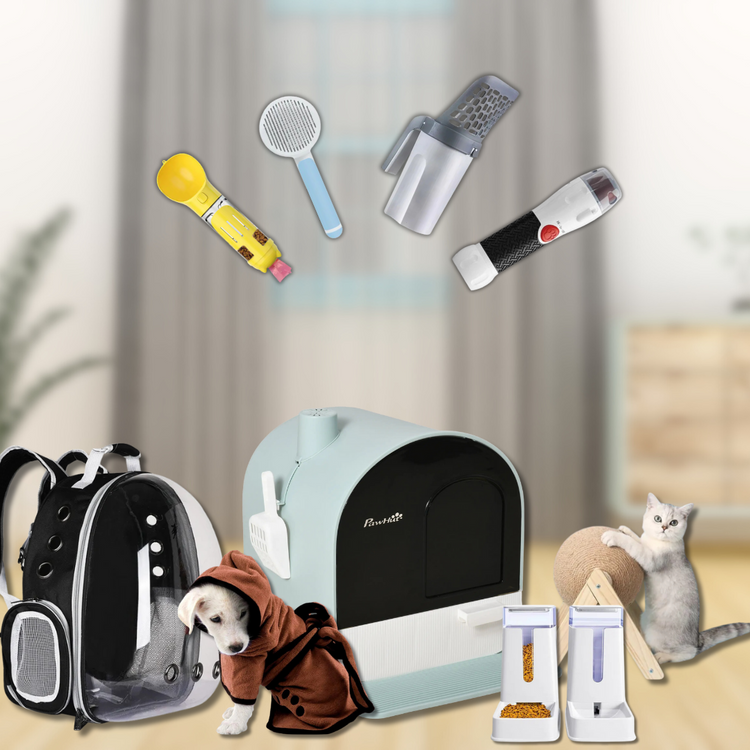 Our Products