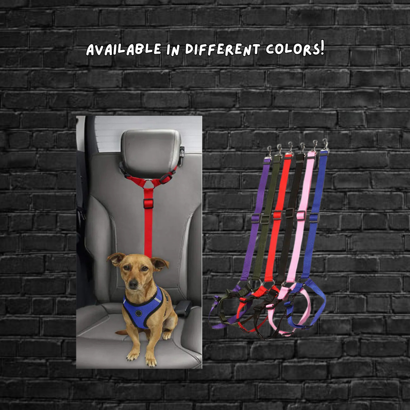 Safe Tails - Dog Security Leash