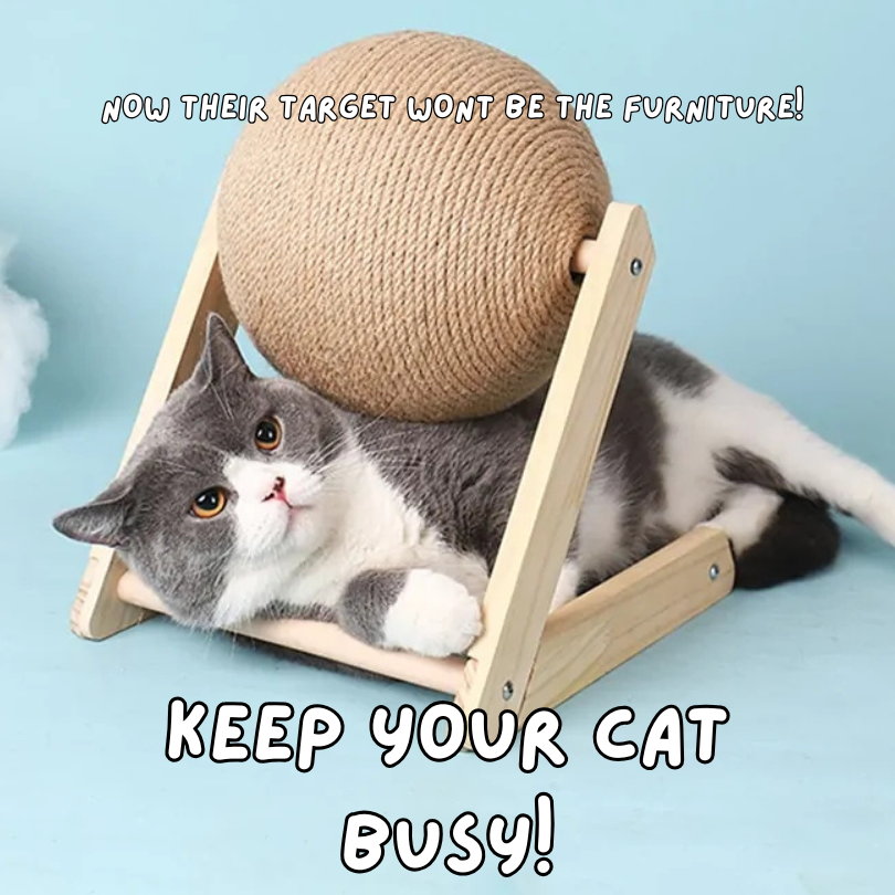 Sphere Play - Cat Scratcher