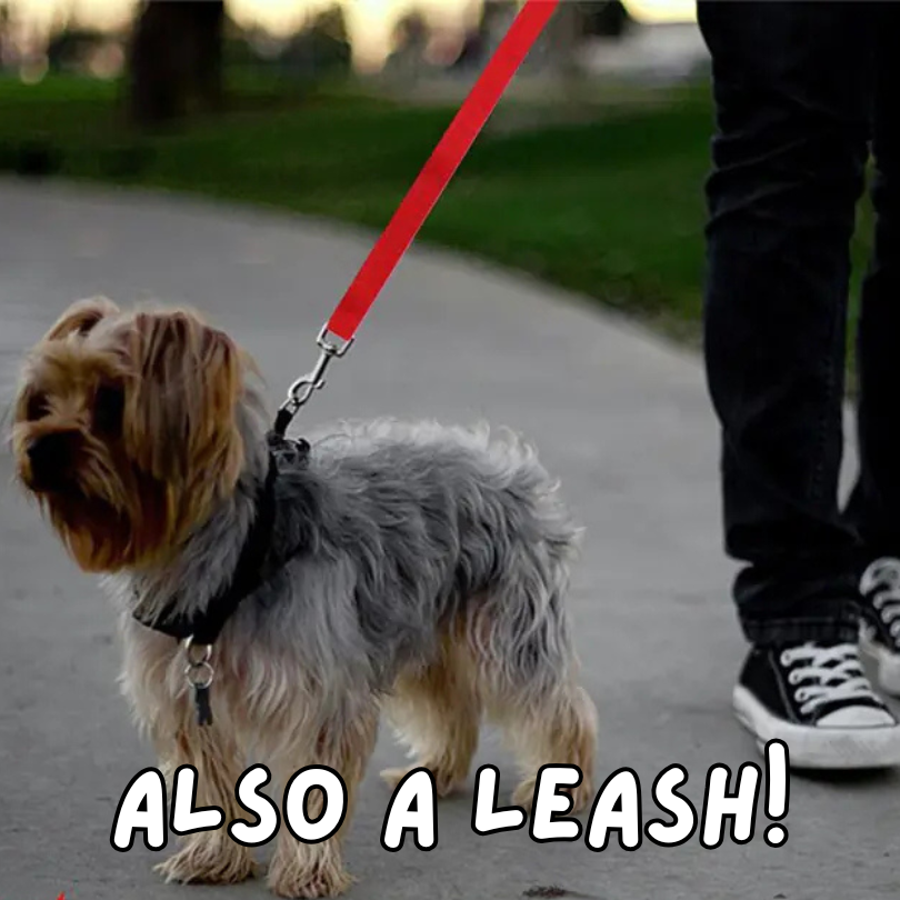 Safe Tails - Dog Security Leash