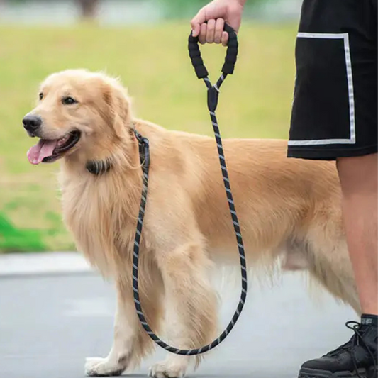 GlowStride Leash - Reflective Dog Leash