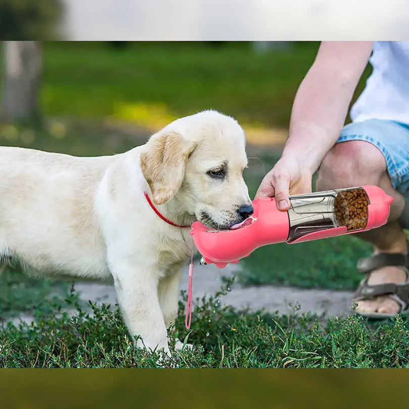 Happy Sip - Multipurpose Pet Feeder