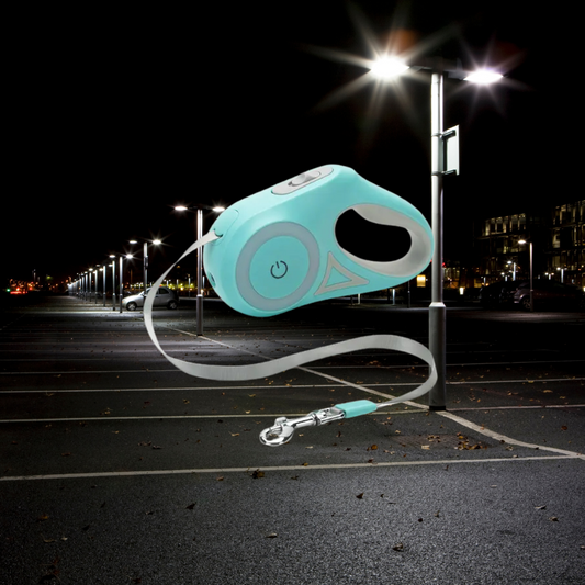 LumiLeash - Led Lights Dog Leash