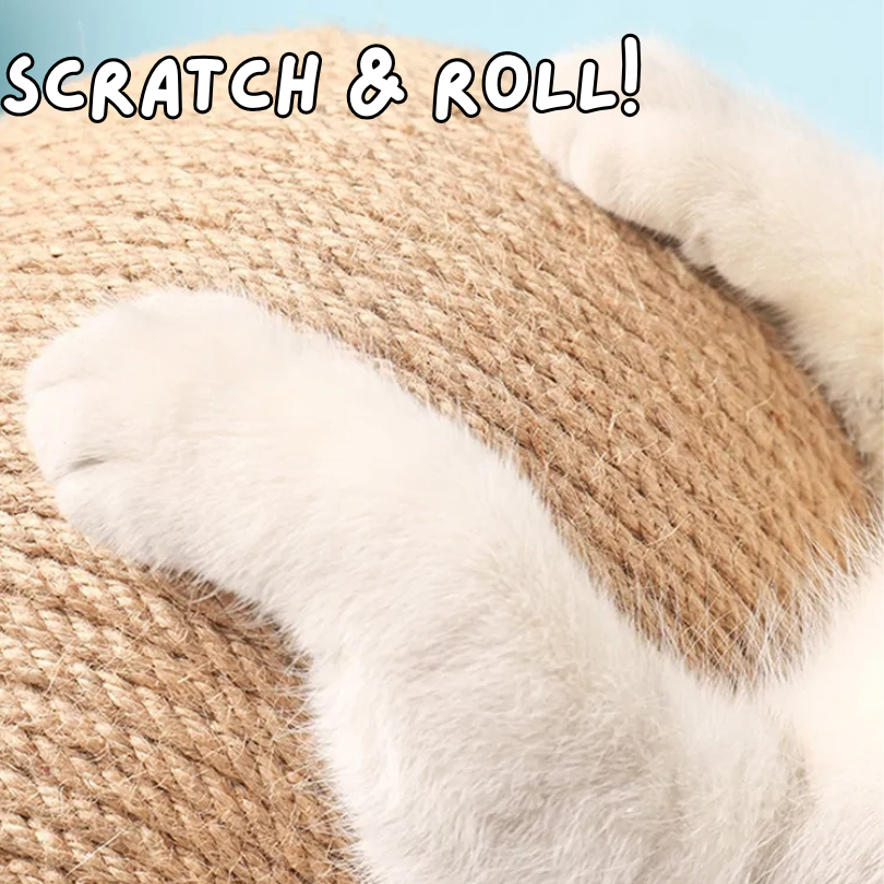 Sphere Play - Cat Scratcher