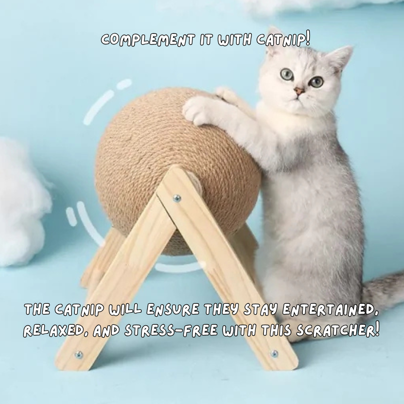 Sphere Play - Cat Scratcher